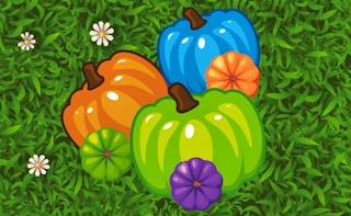 Image Color Pumpkin Match