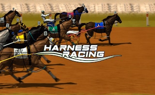 Image Harness Racing